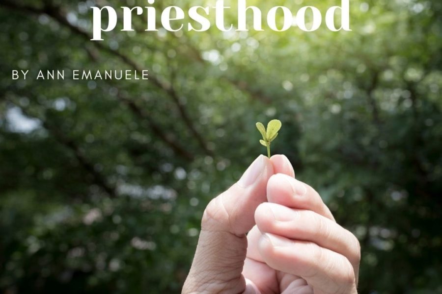 Called into the Priesthood