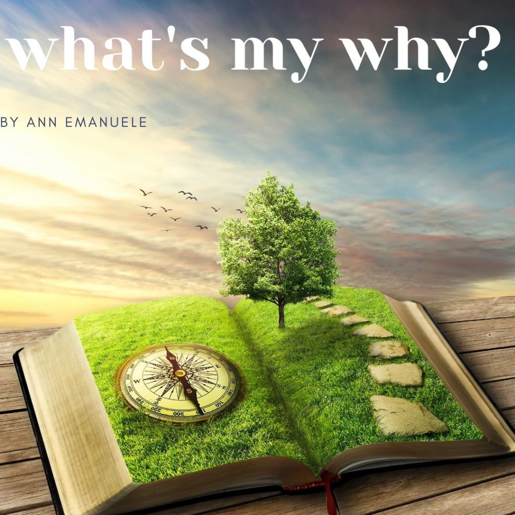 What's My Why?