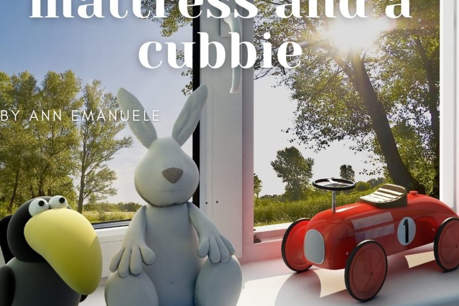 A Trundle, Foam Mattress and Cubbie